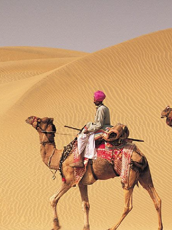 domestic-tour-package-rajasthan-1